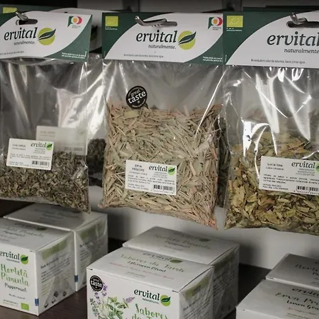 Gospodarstwo agroturystyczne Alojarte Figueiros